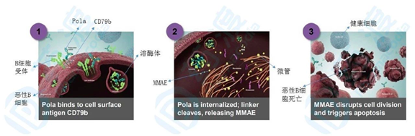 高博醫(yī)學(xué)阿特蒙腫瘤中心