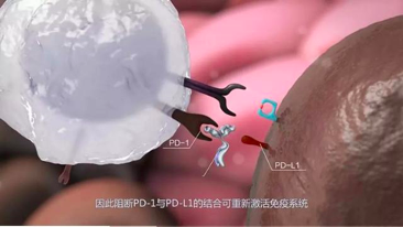 高博醫(yī)學(xué)阿特蒙腫瘤中心